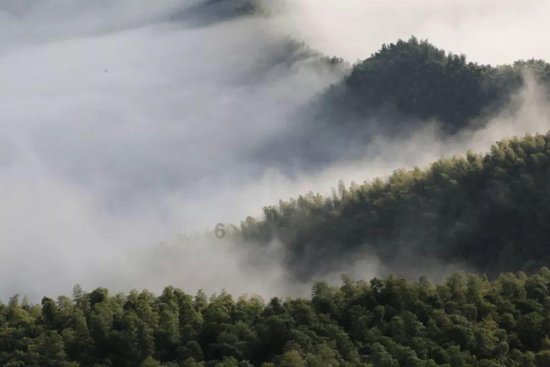 救援受困的小恐龙
